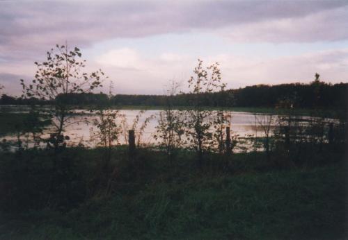 1999-01-Hochwasser1