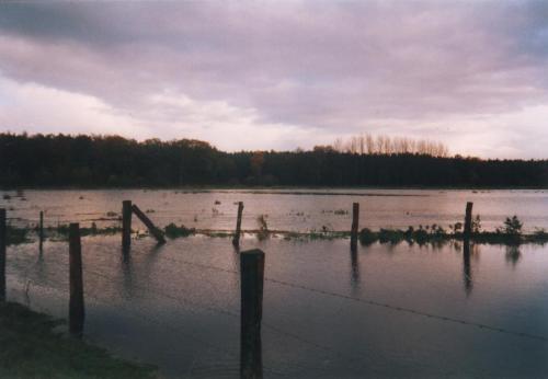 1999-01-11 Hochwasser