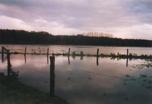 1999-01-Hochwasser3